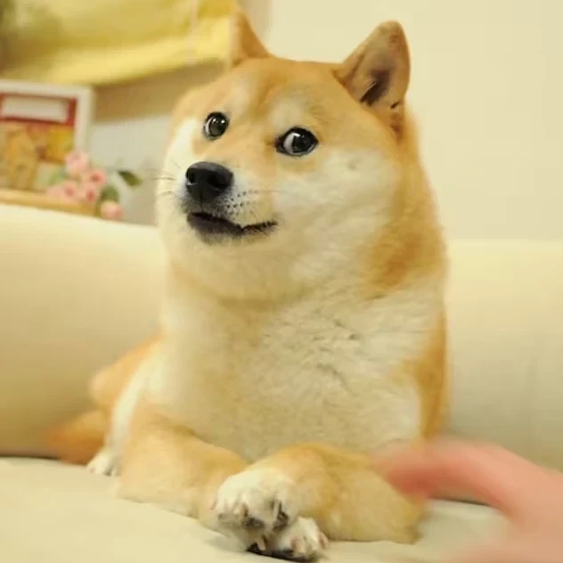 别人的抽卡VS……_图2