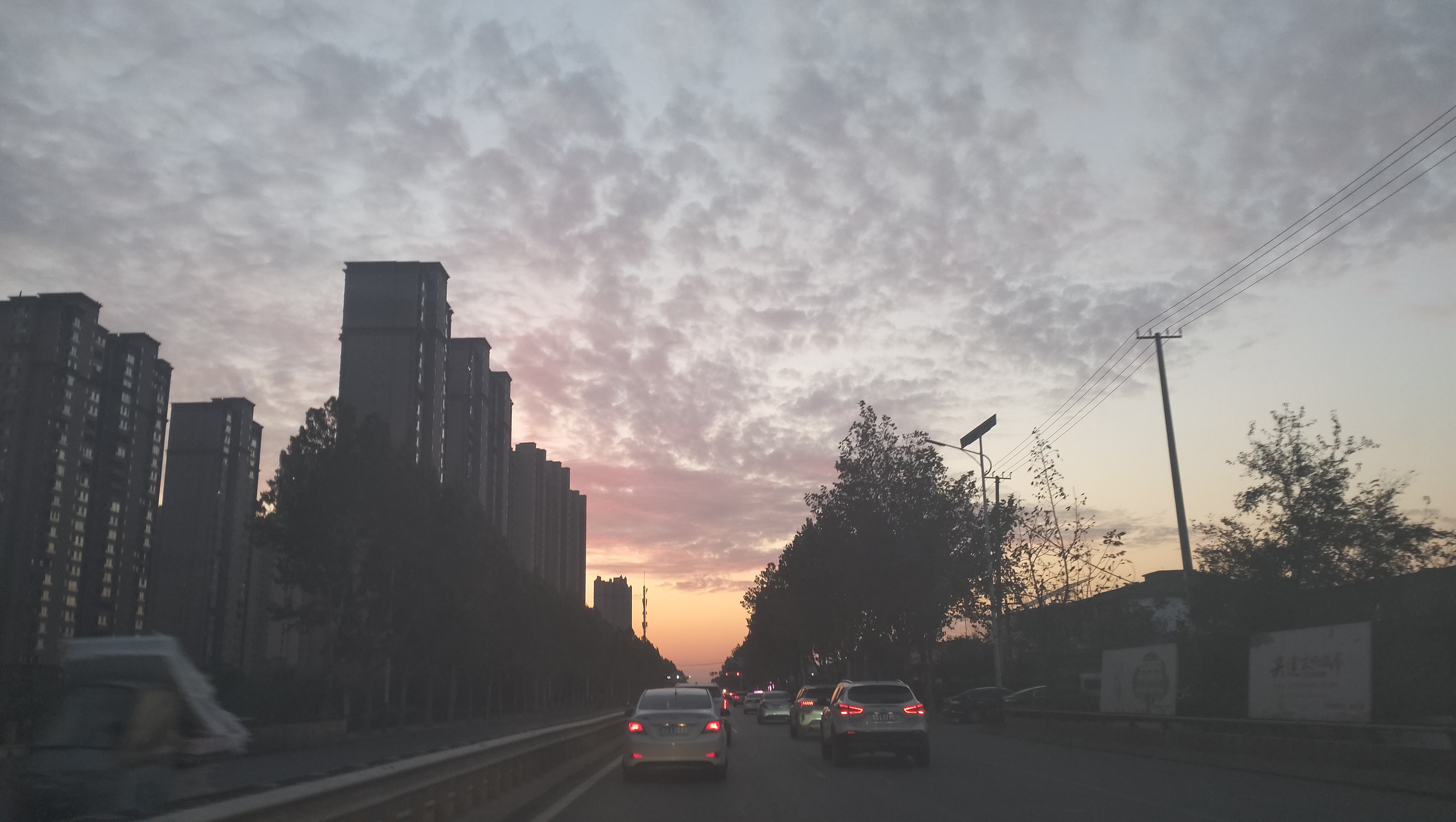 求游戏推荐_图1