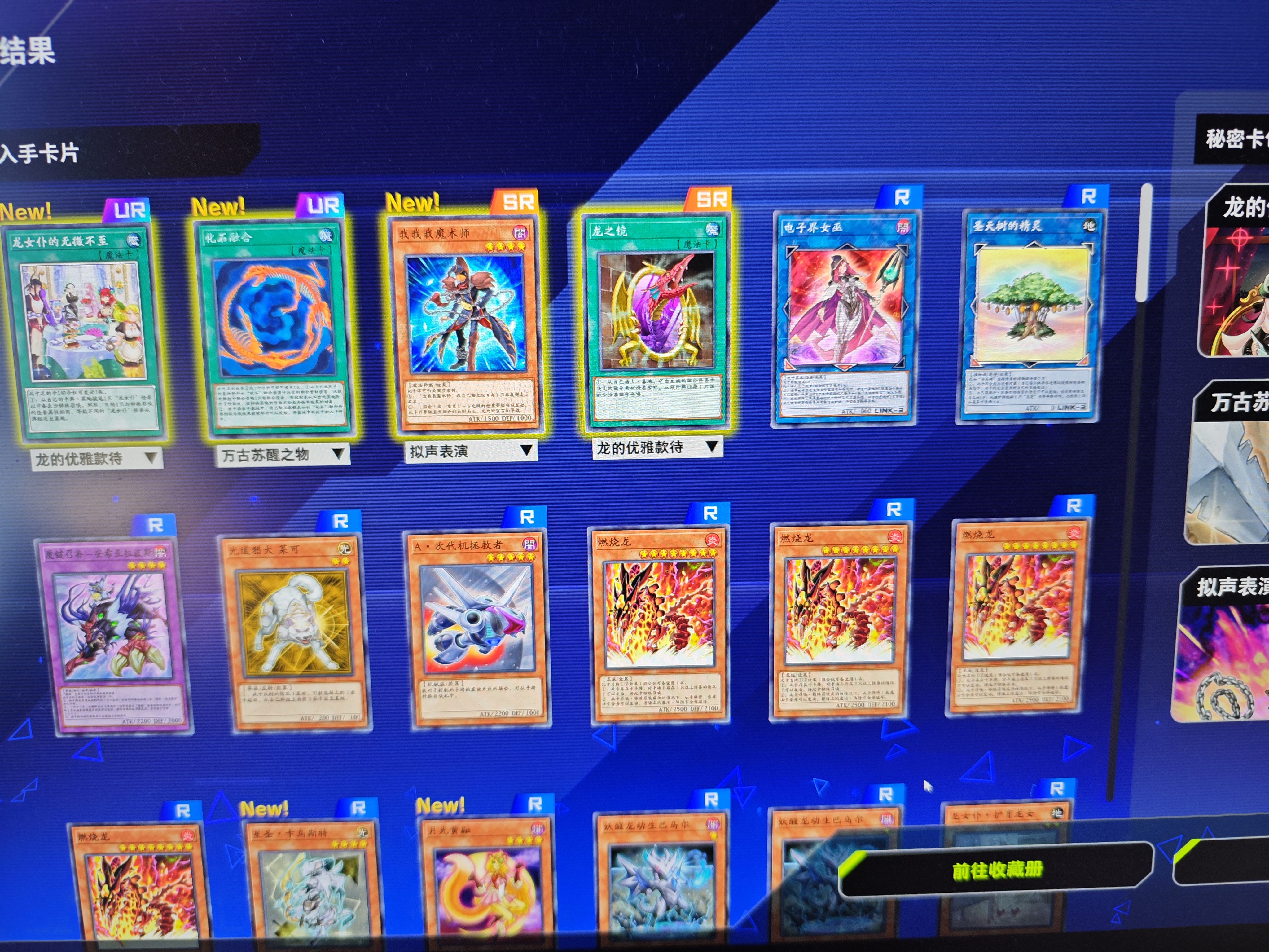 龙女仆收藏_图3