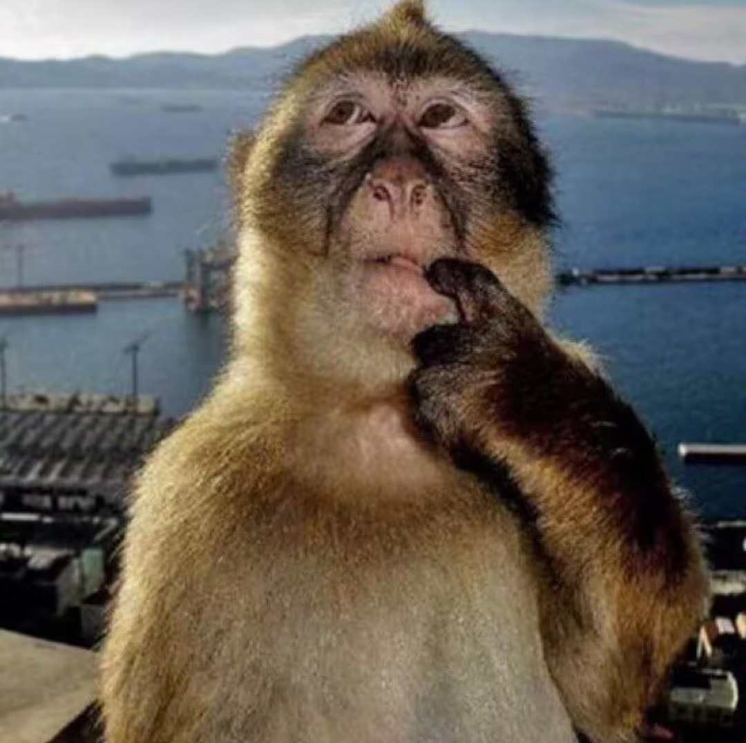 活动出闪混_图2