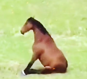 评论图片