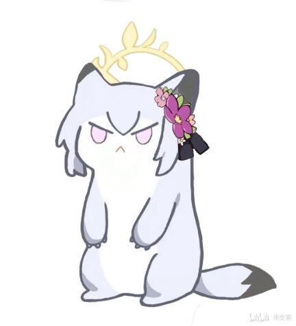评论图片