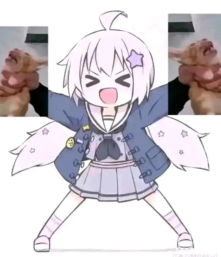 评论图片