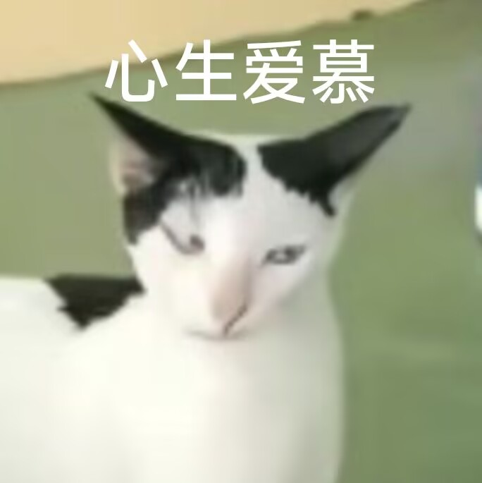 评论图片