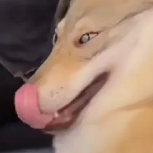 评论图片