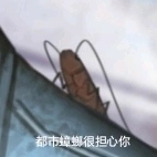 评论图片