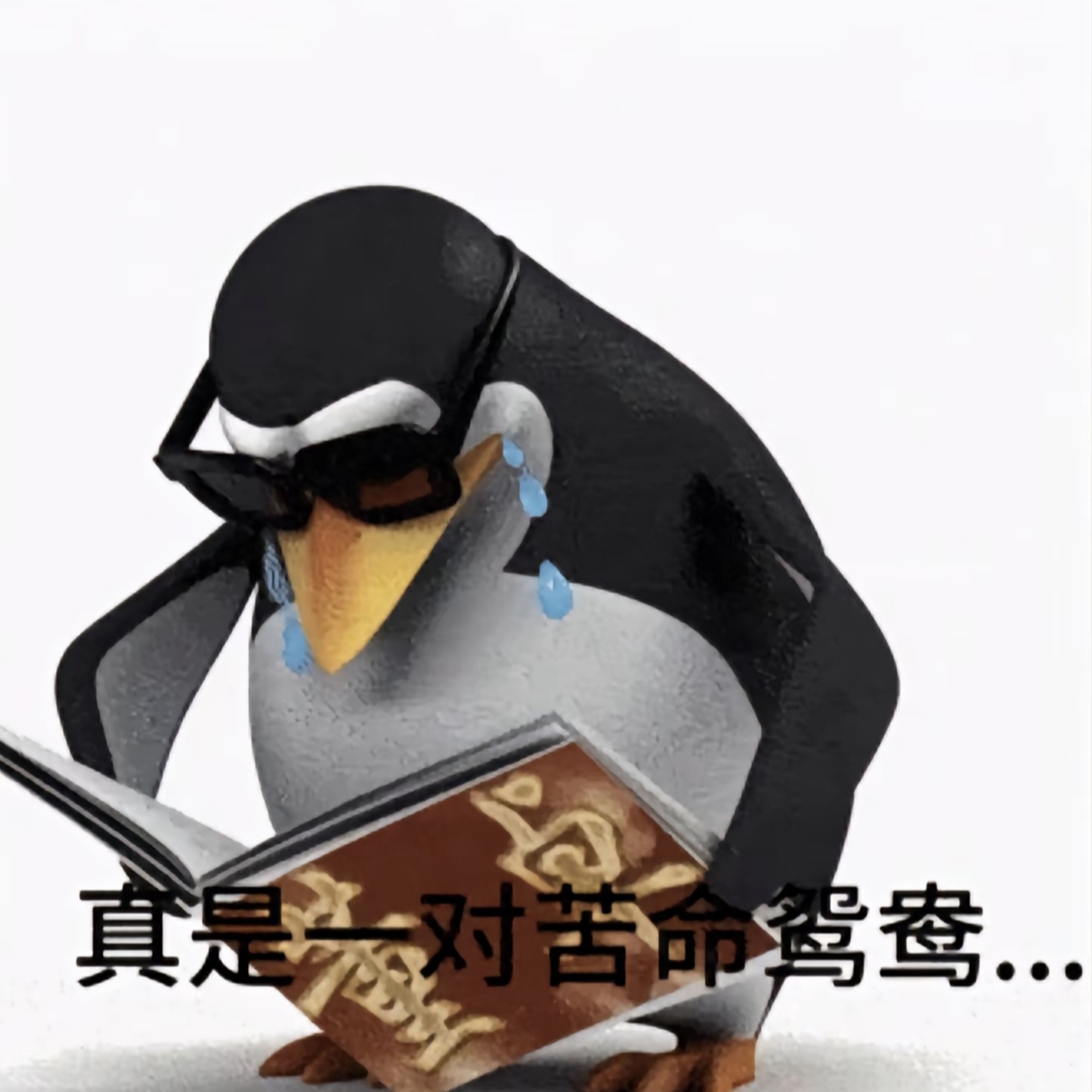 评论图片