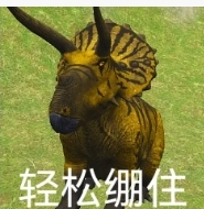 评论图片
