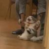 漫