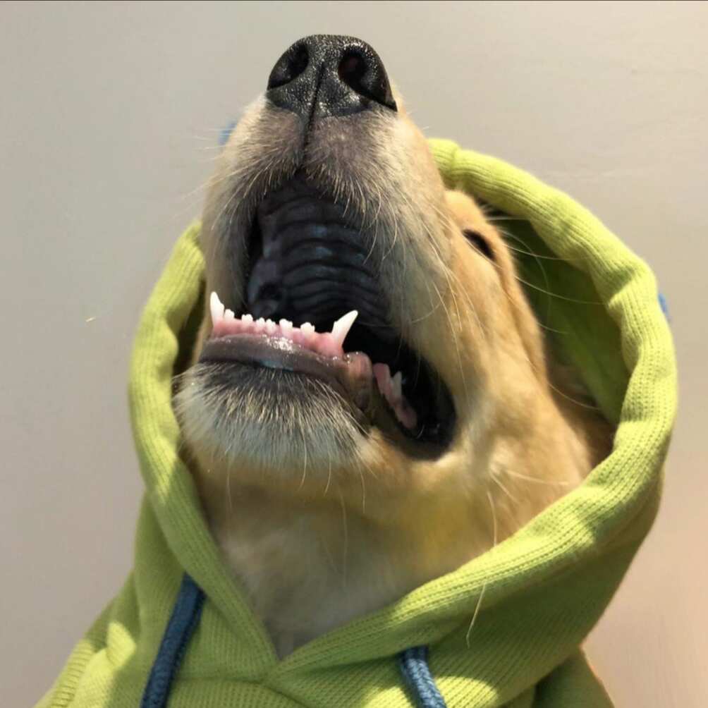 尘