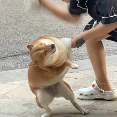 ?