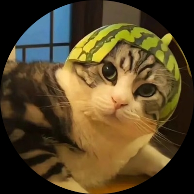 hhbxhsb