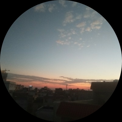 酥鹅