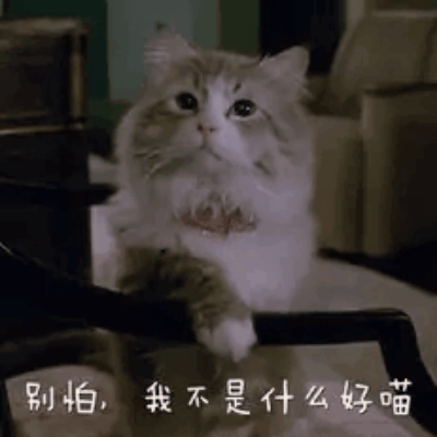 捡破烂开心吉