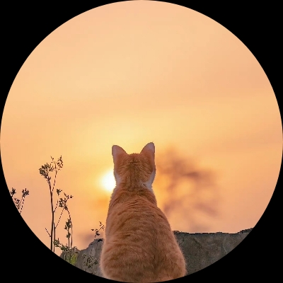 废土猫科