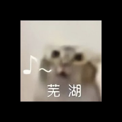 姬你太美