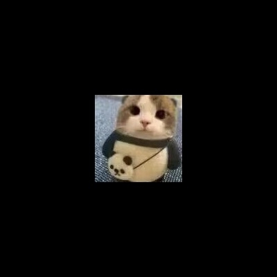 Anll血舞