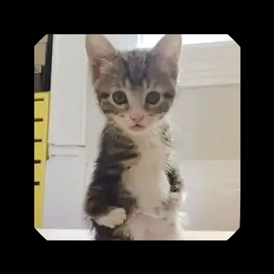 没睡醒的巨婴呀
