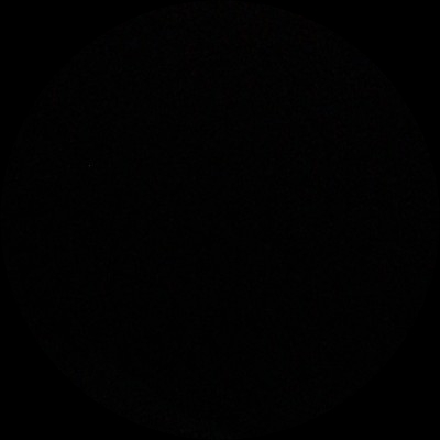 队长爱吃鱼
