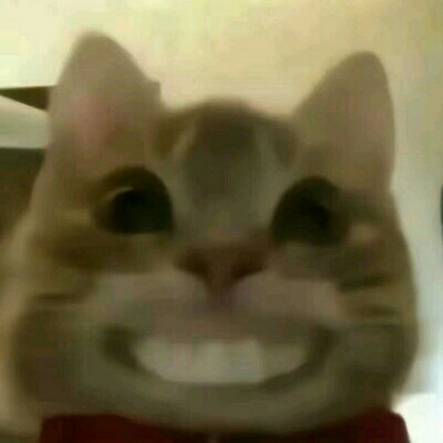 弓秋梵洽
