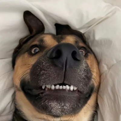 857