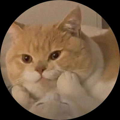 瘦橘猫
