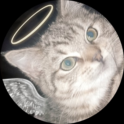 无业游民长头发if7