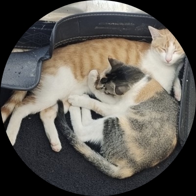 没活咬个打火机吧