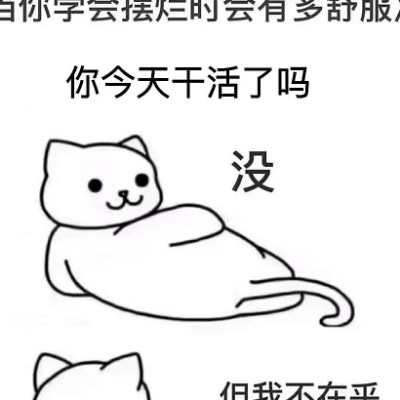 反派迷人喵