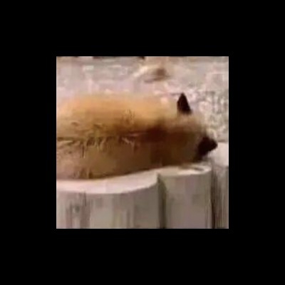 达斯维达和我互相伤害yde1