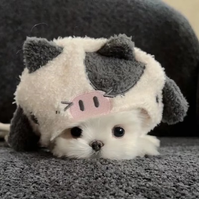 緕