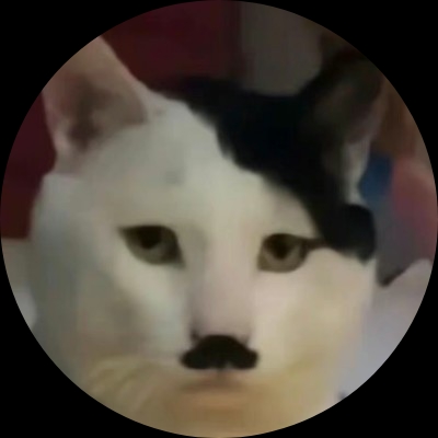 张某