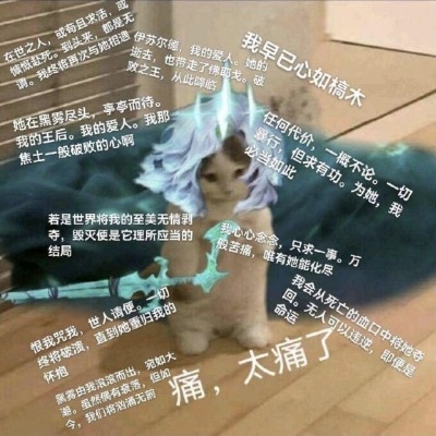 ༺番茄牛肉༻