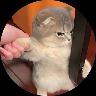 逸猗