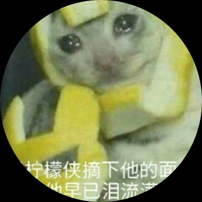 德玛西亚拉普之光p911