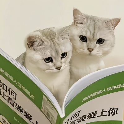 千目东路望夫石