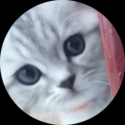 在下本喵