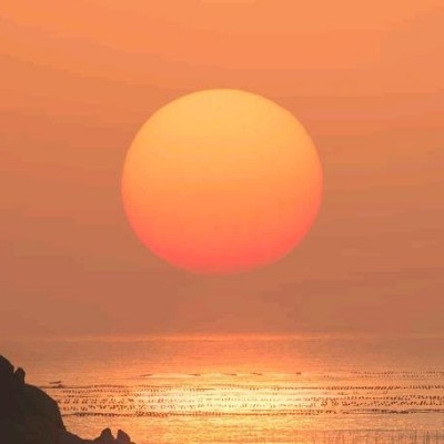 爱喝美式的王子p68