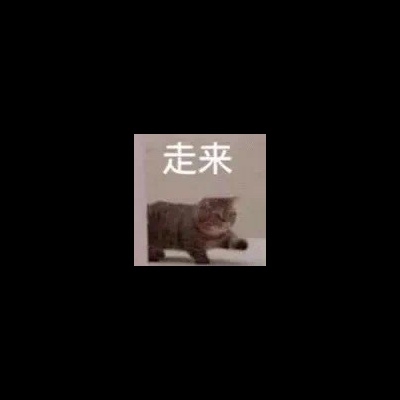 圆脸鱼穿一件白Tmp664