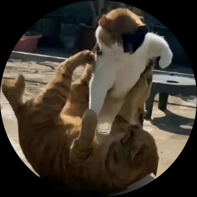 轩歌