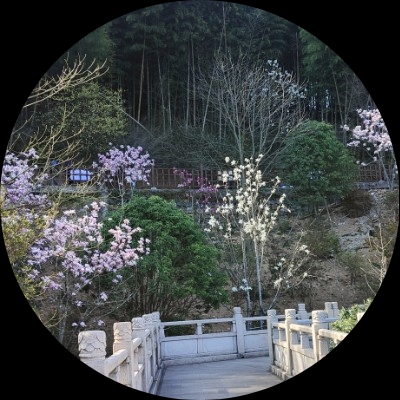 冒着气泡的公主eby44