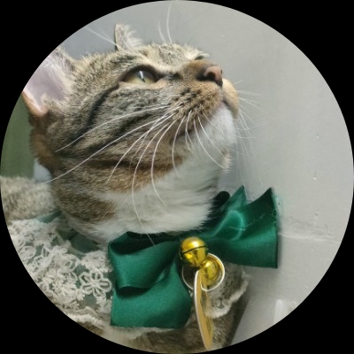 今年赚他一个亿