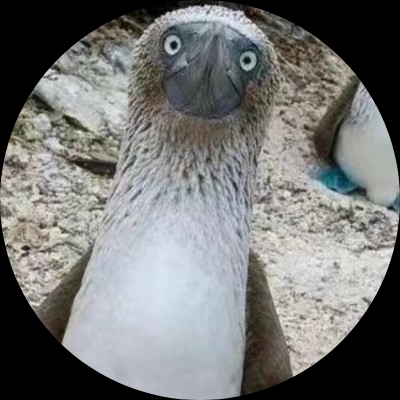 愚念一