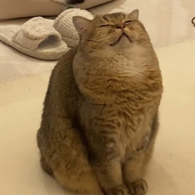开水烫头发