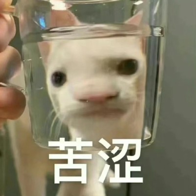 楸