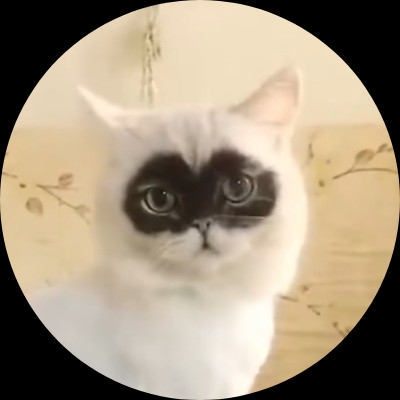 范作