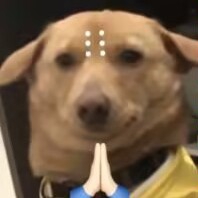 奶兔星球没带钱cg1