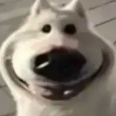 笼中鸟