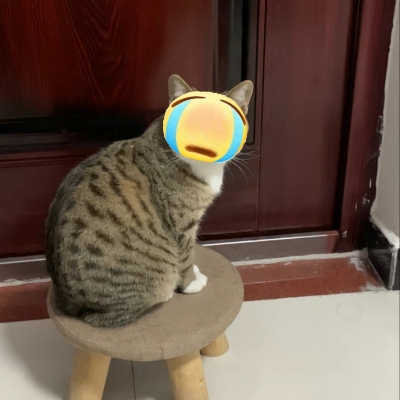 ikun