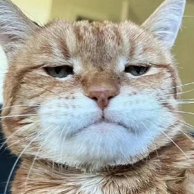 Al